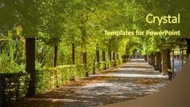  Presentation with park - Amazing presentation design having map of the world lined backdrop and a gray colored foreground.