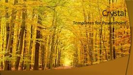  Presentation with pathway - PPT layouts consisting of change landscape - pathway in the autumn park background and a gold colored foreground