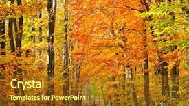  Presentation with speed walking - Amazing slide deck having change landscape - walking in autumn park backdrop and a tawny brown colored foreground