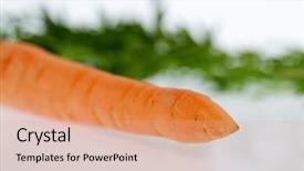  Presentation with grown - Audience pleasing slide deck consisting of change police - organically grown carrots fresh vegetables backdrop and a coral colored foreground