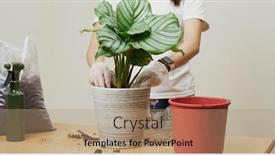  Presentation with unchanging values in a changing world - Presentation design featuring changing-pot-for-calathea-orbifolia background and a coral colored foreground