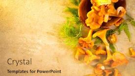  Presentation with food label - Theme consisting of chantarelle-raw-wild-chanterelles-mushrooms background and a yellow colored foreground