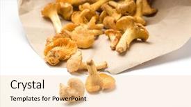  Presentation with brown paper bag - Theme enhanced with chanterelle mushrooms cantherellus cibarius falling out of brown paper bag onto white surface background and a lemonade colored foreground