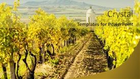  Presentation with vineyard - Beautiful slide set featuring chapel with vineyard near velke bilovice czech republic backdrop and a yellow colored foreground