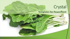  Presentation with swiss chard - Audience pleasing presentation theme consisting of chard leaves on a white backdrop and a mint green colored foreground