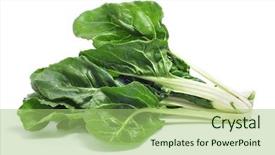  Presentation with fall leaves border white - Cool new PPT theme with chard leaves on a white backdrop and a mint green colored foreground