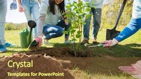  Presentation with tree planting - Amazing presentation theme having charity people and ecology concept backdrop and a tawny brown colored foreground