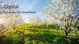  Presentation with earth day - Colorful PPT theme enhanced with charming garden beauty of earth backdrop and a light blue colored foreground