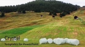  Presentation with mountain - Cool new PPT layouts with packed haystacks on charming mountain backdrop and a gold colored foreground