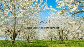  Presentation with earth day - Slide set consisting of charming-ornamental-garden-with-blooming background and a mint green colored foreground