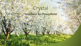  Presentation with earth day - PPT theme with charming-ornamental-garden-with-blooming background and a soft green colored foreground