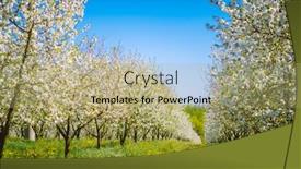  Presentation with earth day - Beautiful PPT layouts featuring charming-ornamental-garden-with-blooming backdrop and a mint green colored foreground