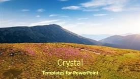  Presentation with pink beauty - Presentation consisting of charming-pink-rhododendron-blooms background and a tawny brown colored foreground