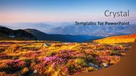  Presentation with ukraine - Presentation design with charming-pink-rhododendron-blooms background and a light blue colored foreground