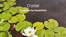  Presentation with pond - Beautiful slides featuring charming-pond-with-a-blossoming backdrop and a dark gray colored foreground