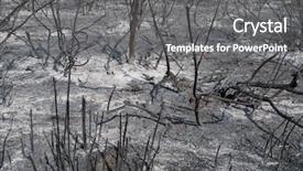  Presentation with forest fire - Presentation theme featuring charred trees after a forest background and a  colored foreground