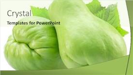  Presentation with fruits - Slide set consisting of chayote-fruits-with-leaves-isolated background and a soft green colored foreground