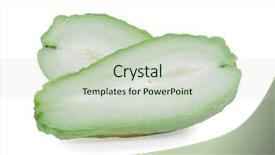  Presentation with cut - Audience pleasing slides consisting of half showing the pulp backdrop and a soft green colored foreground