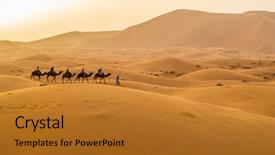  Presentation with camel - Slides enhanced with chebbi near merzouga morocco -camel background and a gold colored foreground