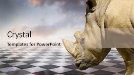  Presentation with chess pieces - Amazing presentation having checkerboard - powerful rhino gamero chess pieces backdrop and a soft green colored foreground