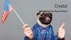  Presentation with checkered flag - PPT theme featuring checkered shirt holding usa flag background and a light gray colored foreground