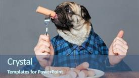  Presentation with man head in hands - Beautiful slides featuring checket plate - man with pug dog head backdrop and a  colored foreground
