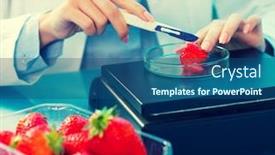  Presentation with pesticides - Audience pleasing slide deck consisting of checking-food-strawberries backdrop and a ocean colored foreground