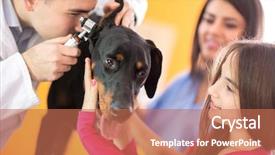  Presentation with hearing gods voice - PPT layouts enhanced with great done dog by veterinarian background and a coral colored foreground