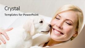  Presentation with puppy - Presentation design with cheer up - puppy of labrador licking background and a light gray colored foreground