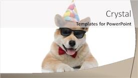  Presentation with cheerful - Presentation theme with cheerful-akita-inu-sticking-out background and a white colored foreground