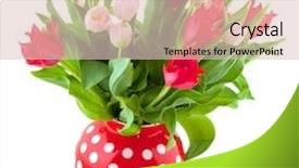  Presentation with speckles - Theme featuring cheerful bouquet tulips in red and pink in speckles vase background and a lemonade colored foreground