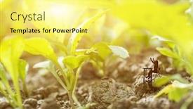  Presentation with business success - Amazing presentation design having cheerful-business-woman-concept backdrop and a yellow colored foreground