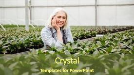  Presentation with real woman hair texture human - Beautiful PPT layouts featuring cheerful grey-haired mature woman backdrop and a  colored foreground