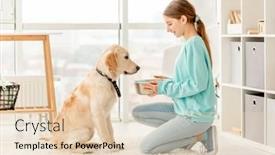  Presentation with cheerful - Presentation design featuring cheerful-owner-feeding-cute-dog background and a lemonade colored foreground