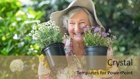  Presentation with senior citizen - Slide deck consisting of cheerful senior woman holding potted background and a  colored foreground