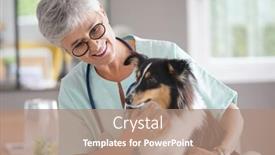  Presentation with cheerful - Colorful slide set enhanced with cheerful-veterinarian-woman-with-dog backdrop and a coral colored foreground