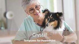  Presentation with dog - Slide deck consisting of cheerful-veterinarian-woman-with-dog background and a coral colored foreground