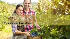  Presentation with vine - PPT theme with cheerful-winegrowers-standing-in-vine background and a yellow colored foreground