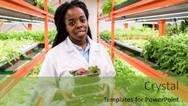  Presentation with greenhouse - Beautiful slide deck featuring cheerful-young-african-greenhouse-worker backdrop and a tawny brown colored foreground