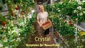  Presentation with vertical farm - Slide set consisting of cheerful-young-female-worker background and a tawny brown colored foreground