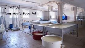  Presentation with aging - Cool new PPT theme with cheese-factory-production-shelves backdrop and a light gray colored foreground