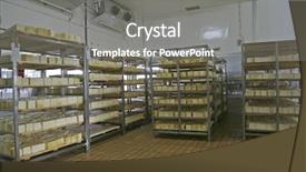  Presentation with storage cold - PPT layouts consisting of cheese in cold storage background and a gray colored foreground