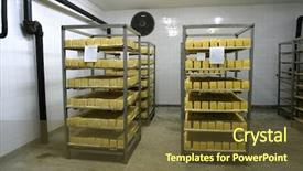  Presentation with storage cold - Cool new slides with cheese in cold storage backdrop and a tawny brown colored foreground