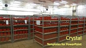  Presentation with storage cold - Amazing PPT theme having cheese in cold storage backdrop and a tawny brown colored foreground