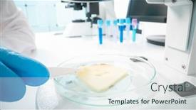  Presentation with quality control inspection - PPT theme with cheese-quality-inspection background and a sky blue colored foreground