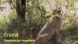  Presentation with serengeti africa - Slide set enhanced with cheetah sitting under a tree serengeti tanzania africa background and a tawny brown colored foreground