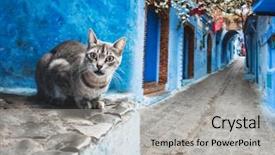  Presentation with morocco - Colorful PPT theme enhanced with chefchaouen blue city of morocco backdrop and a light gray colored foreground