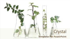  Presentation with flasks - Slides with chemical - plants in flasks isolated background and a cream colored foreground