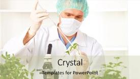  Presentation with genetic modified organism - Cool new theme with chemical food - researcher holding up a gmo backdrop and a soft green colored foreground