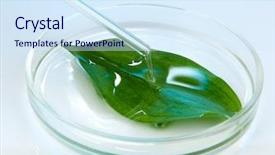  Presentation with petri dish - Presentation consisting of chemical research in petri dish background and a sky blue colored foreground